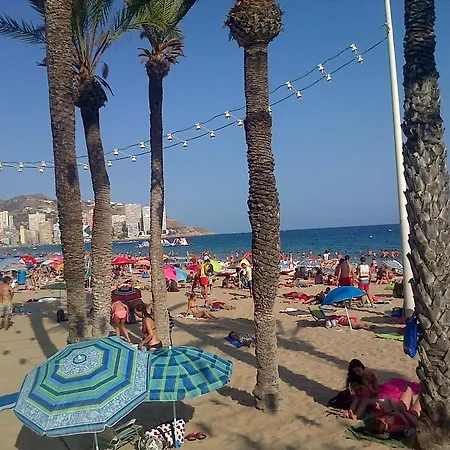 Iris * בנידורם