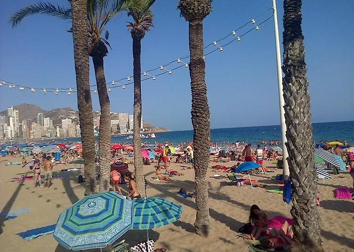 Iris * Benidorm